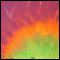 021 Tye Dye Twill