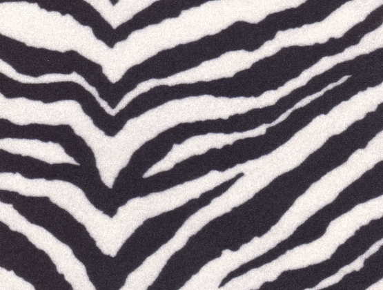 This is a zebra print image closeup The colors of the zebra consist of 