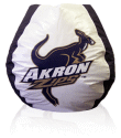 Akron Zips Bean Bag Chair