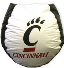 cincinnati, bearcats, bean bag, university, bear, cats