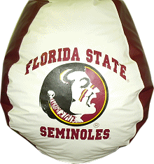 florida, state, seminoles, university, bean bag chair