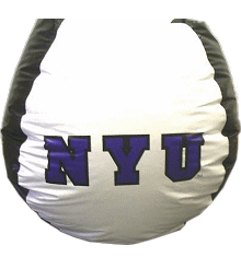 New York University